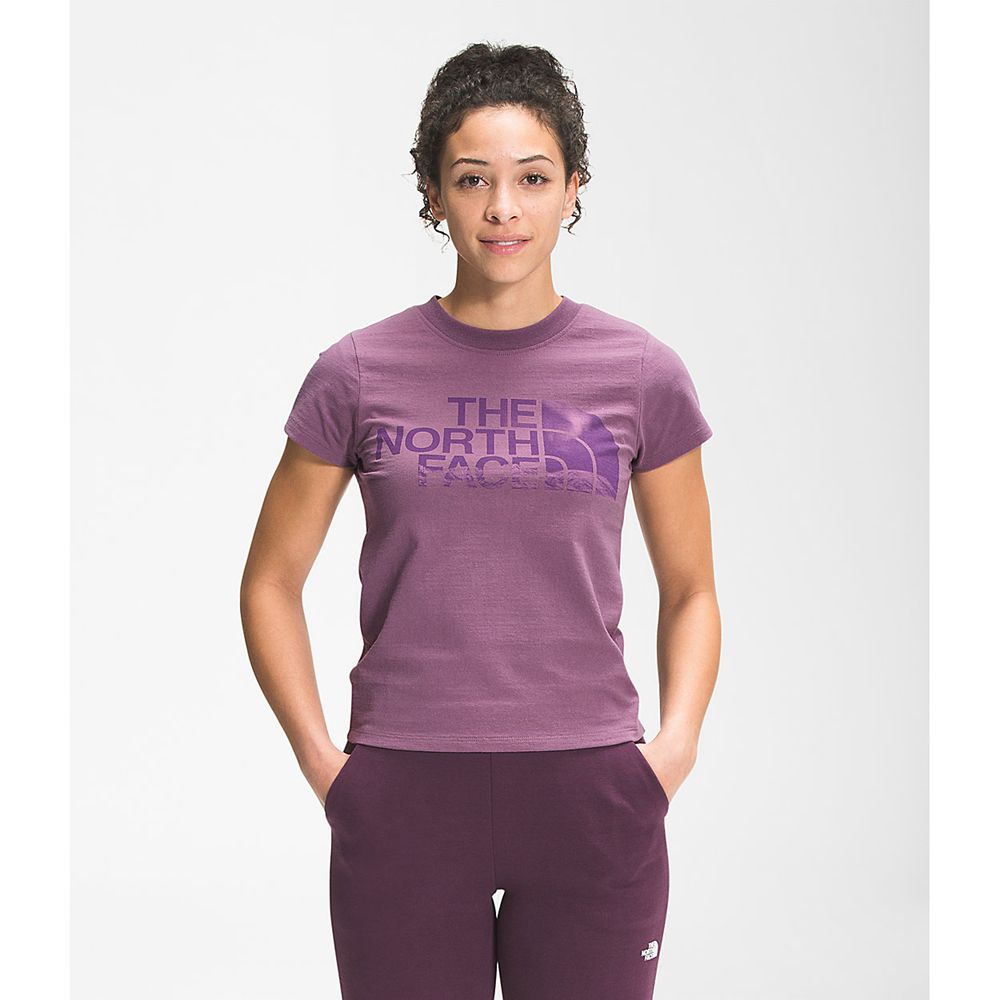 The North Face T-Shirts Womens Australia - The North Face Recycled Expedition Graphic Short Sleeve T